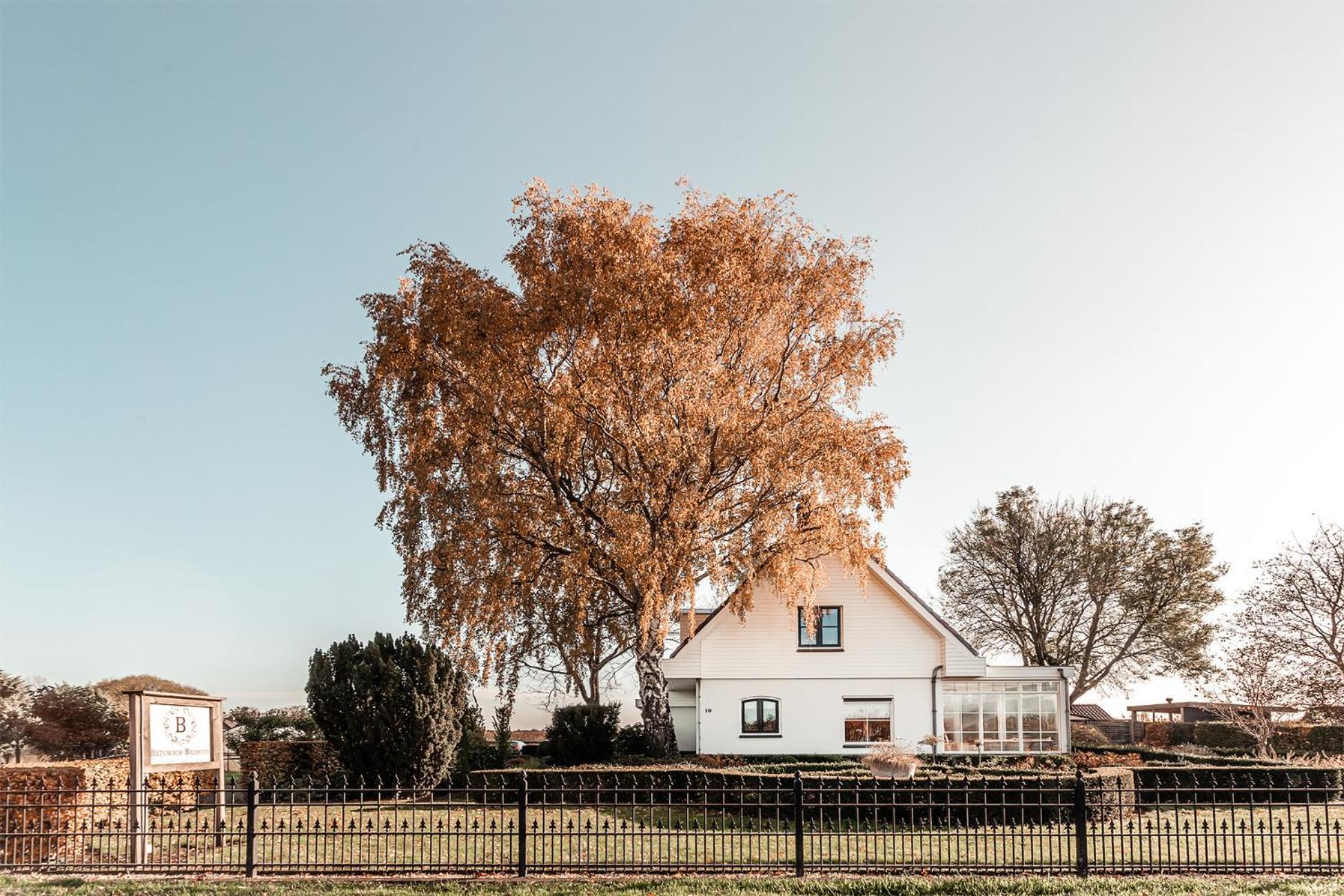 Betuwsch Badhuys Bed and Breakfast Lienden Εξωτερικό φωτογραφία